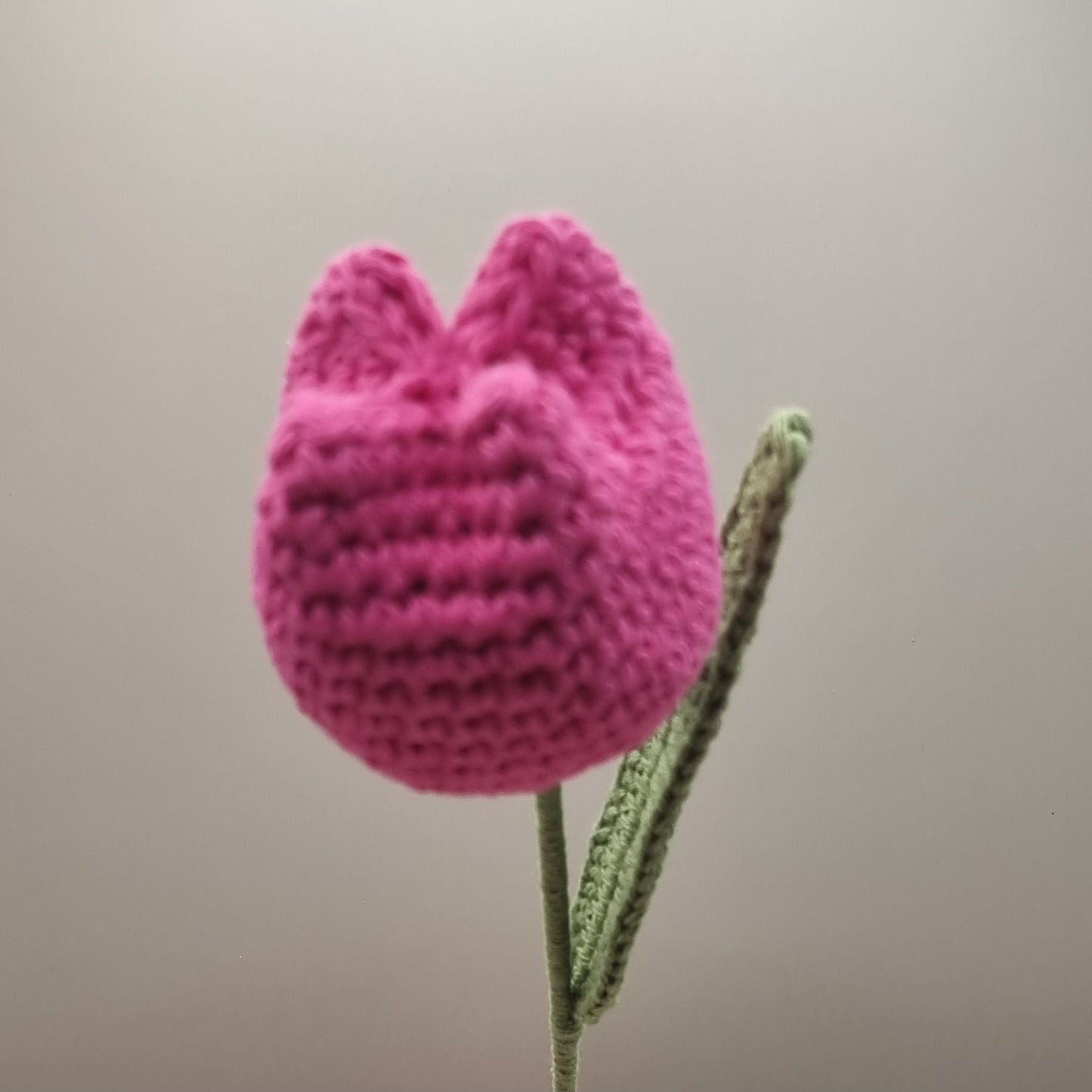 Crochet Hot Pink Tulip