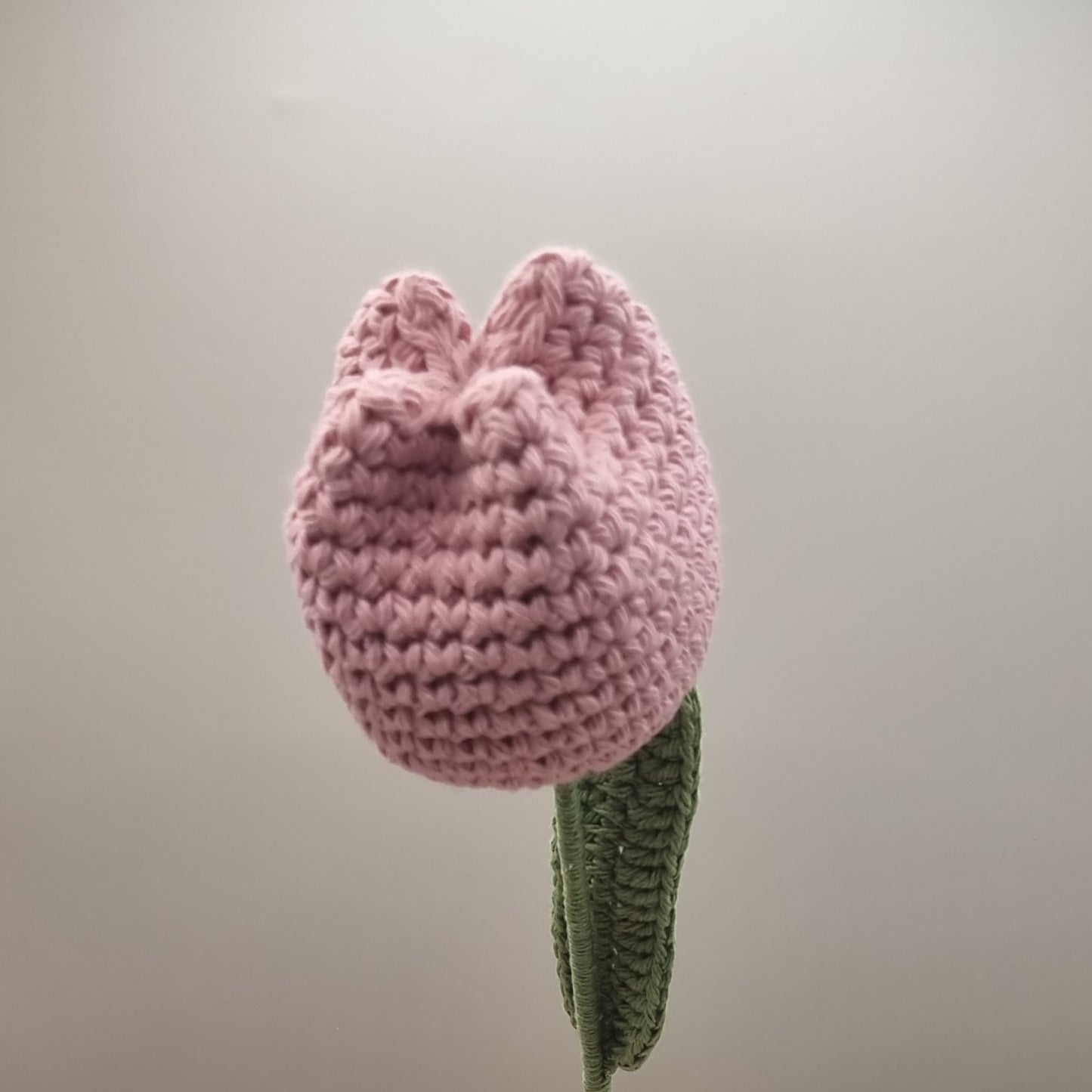 Crochet Pink Tulip