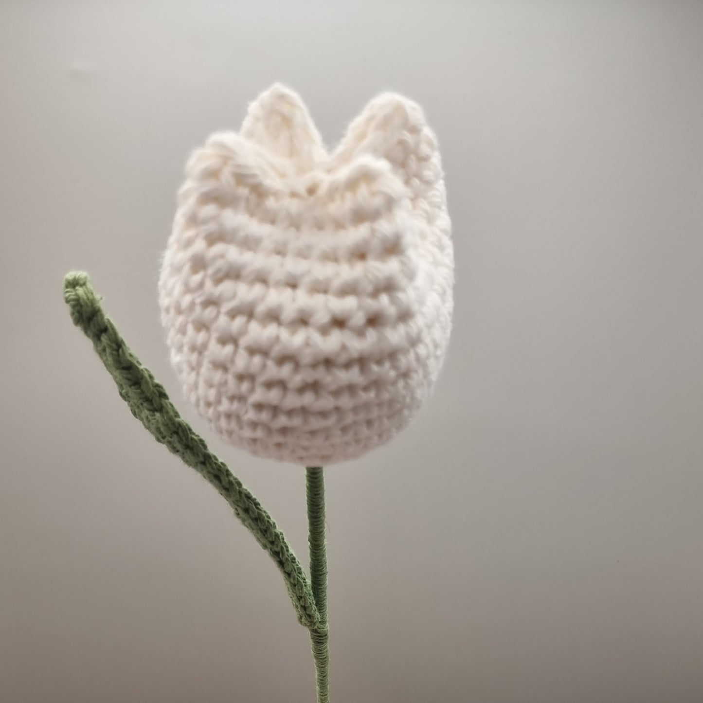 Crochet White Tulip